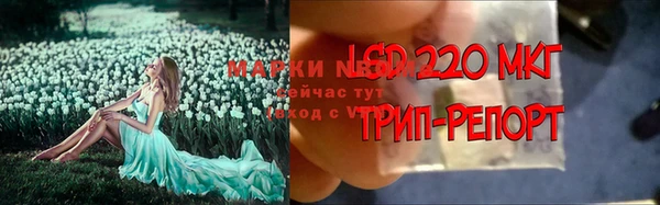 эйфоретик Алексеевка