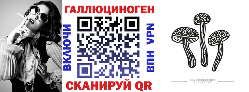 Псилоцибиновые грибы мицелий Йошкар-Ола