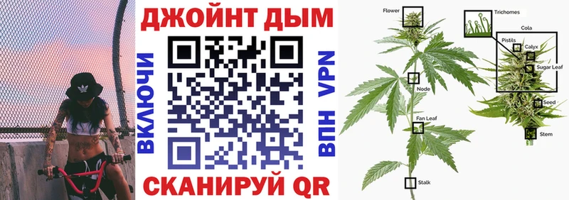 Конопля SATIVA & INDICA  Йошкар-Ола 